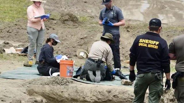 117 dead dogs found at California 'no-kill' animal rescue - many with gunshot wounds