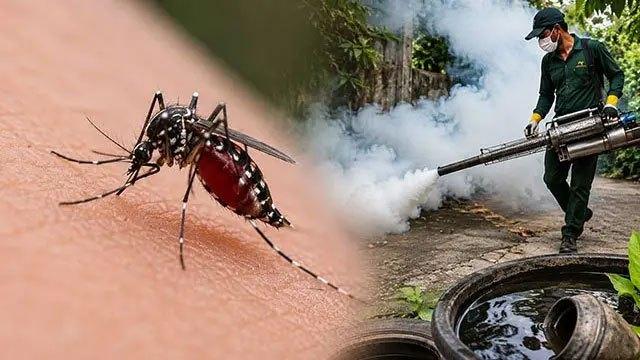 Dengue cases exceed 55,000 in Sri Lanka; death toll rises to 32