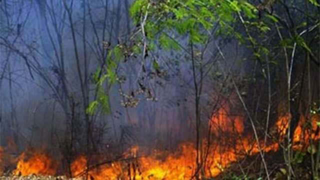 Fire breaks out in protected reserve near Ella