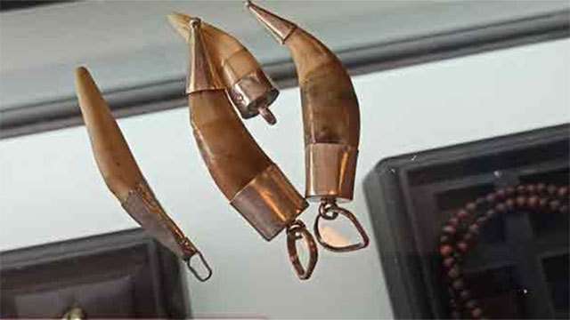 Businessman fined Rs. 2.1 mln for selling jewellery crafted with animal body parts