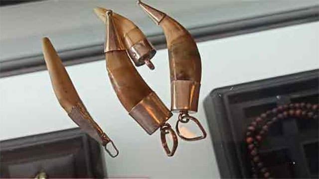 Businessman fined Rs. 2.1 mln for selling jewellery crafted with animal body parts