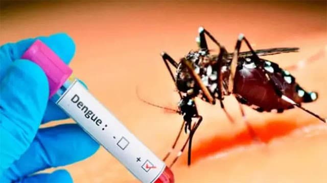 Dengue cases in Western Province nears 35,000
