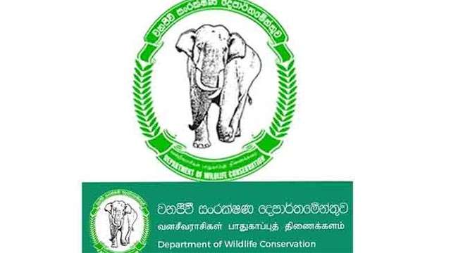 Wildlife Dept. staff stage trade union action over civil security recruitment plan
