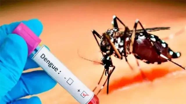 Sri Lanka reports 13,292 dengue cases in first 12 days of July