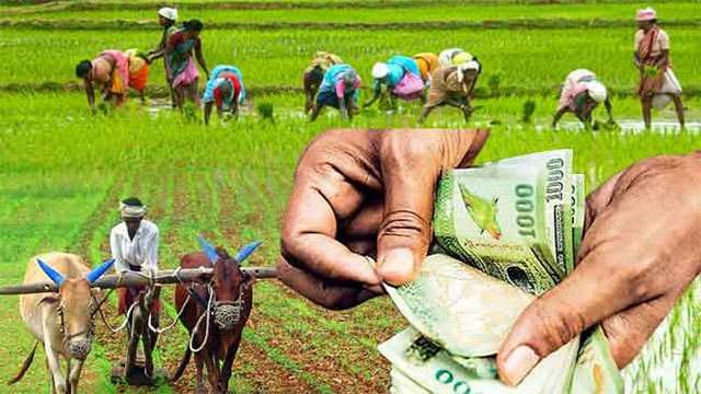 Government to establish bank to provide financial relief for farmers