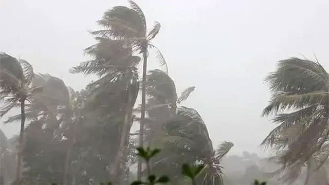 Weather advisory issued for strong winds