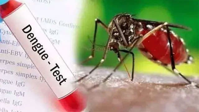 Sri Lanka’s Dengue cases rise to 72,430 so far this year