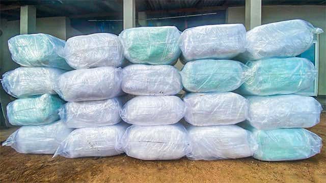 Navy seizes over 735kg of smuggled Kendu leaves in Negombo lagoon