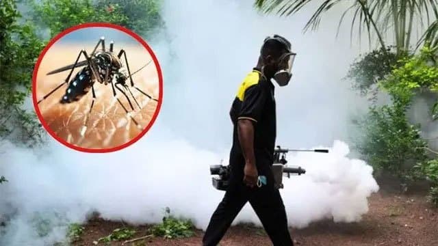 Gampaha records highest dengue cases as outbreak intensifies