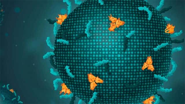 Scientists use AI to create viruses that don’t exist in nature for the first time