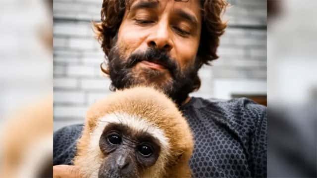 Indian actor Vikram's video with endangered gibbon sparks investigation