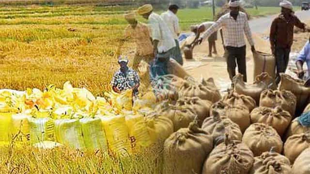 Yala paddy purchase programme launched through small and medium-scale rice mills