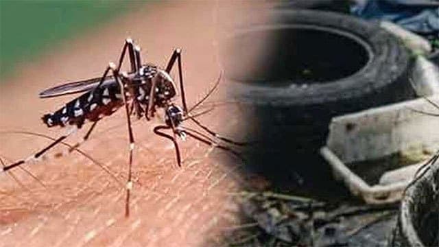 Community empowerment pilot project for dengue control begins tomorrow