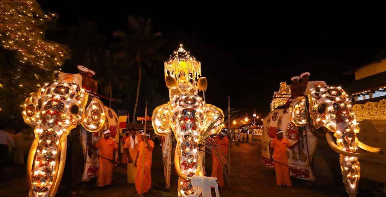 Kandy Esala Perahera: Third Kumbal Perahera parades the streets