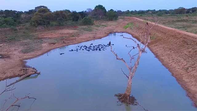 Islandwide reservoir capacity drops to 36% amid dry weather conditions