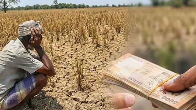 Dry weather damages nearly 8,000 acres of crops, 7,000 farmers affected