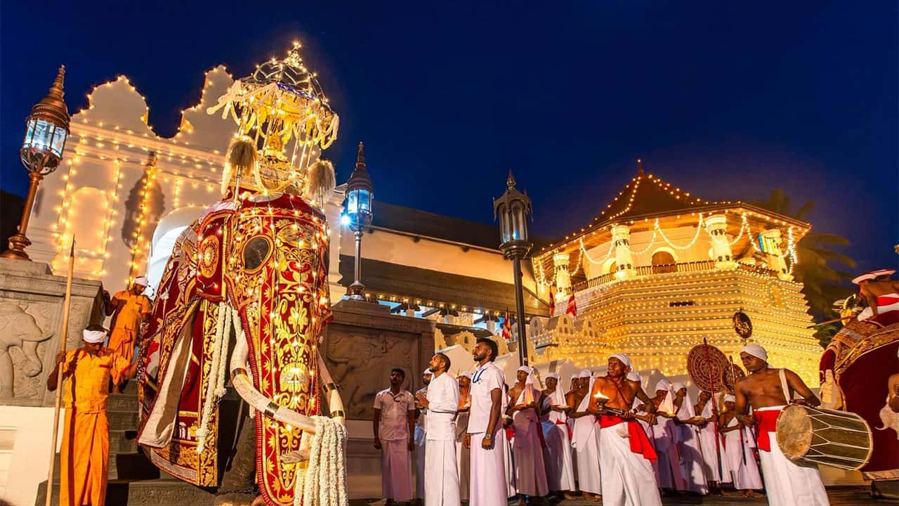 Delhi-based diplomats to witness Kandy Esala Perahera