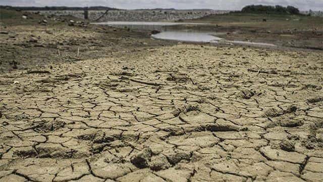Govt. assesses El Niño impact on essential food supplies and prices