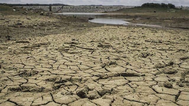Govt. assesses El Niño impact on essential food supplies and prices