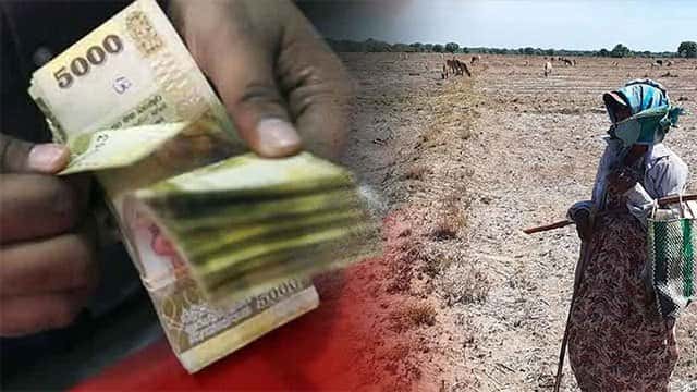 Compensation for drought-affected crops to commence today