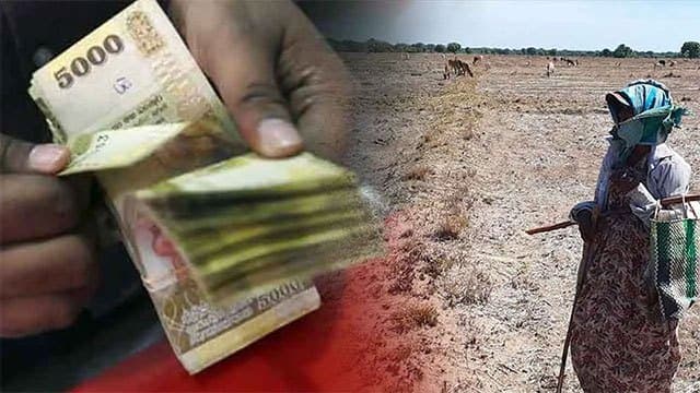 Compensation for drought-affected crops to commence today