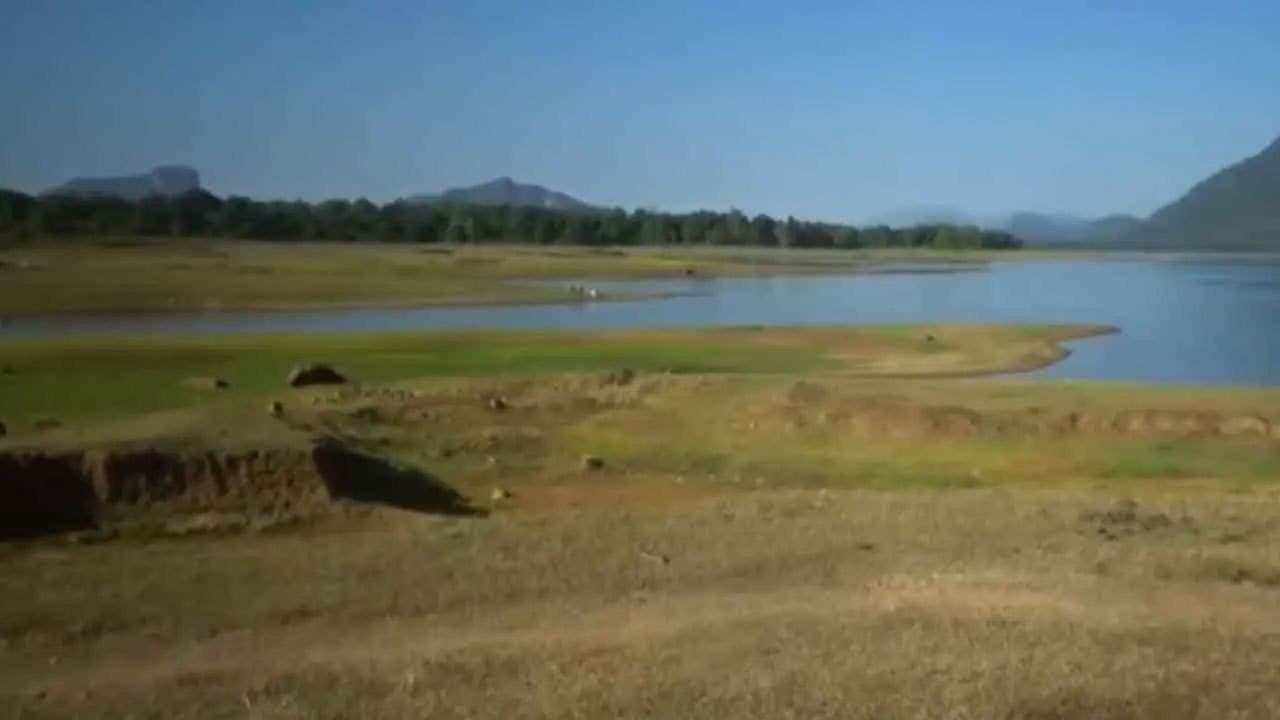 Prolonged dry spell drains major reservoirs in Eastern Province