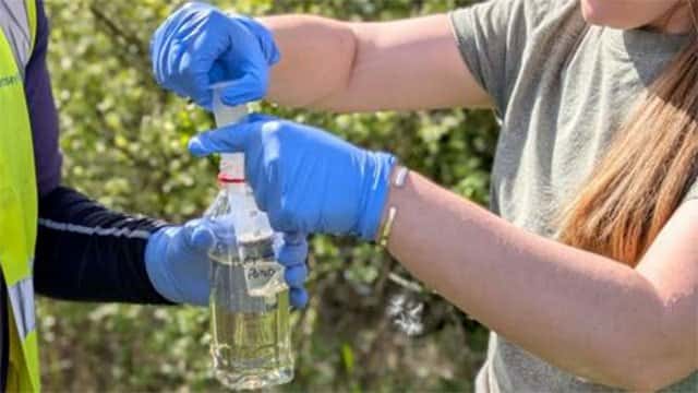 Zambians warned not to eat dead wildlife after anthrax kills dozens of animals