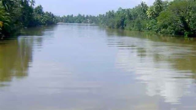 No immediate flood risk despite rising river levels: Irrigation Dept.