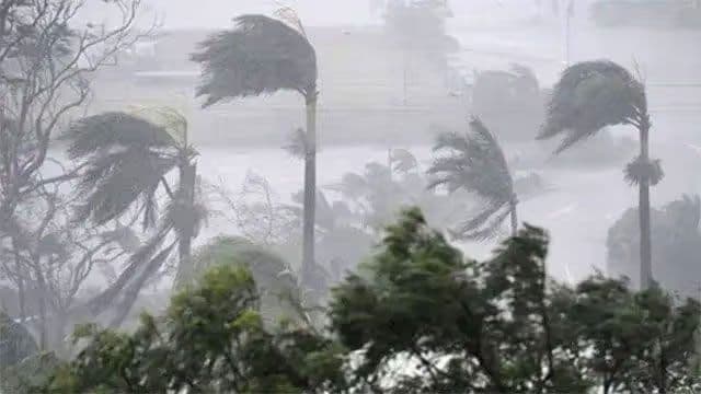 Amber warning issued for strong winds and rough seas