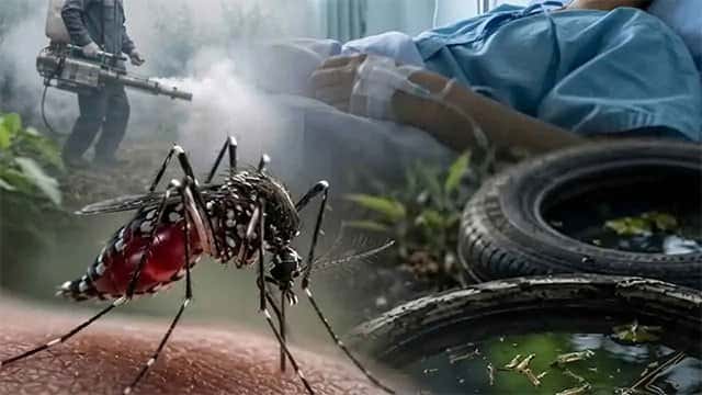Sri Lanka’s dengue death toll rises to 77 as cases exceed 99,000