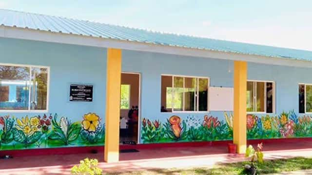 Preschools to adopt single curriculum under education reforms