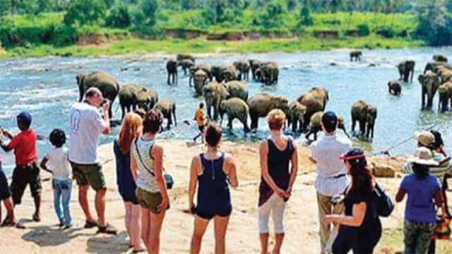 Tourist arrivals in 2026 surpass 1.7 million
