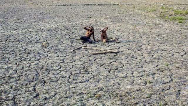 Super El Nino could make 2026 record hottest year: climate monitor