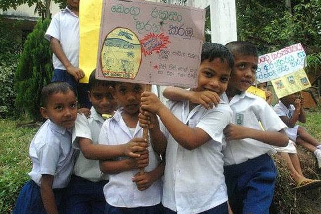 25% of total dengue patients in Sri Lanka are school children - health officials
