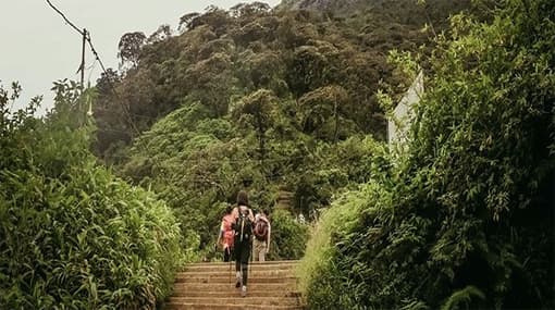 Sri Lanka seeks to attract Arab visitors with Ibn Battuta’s trail