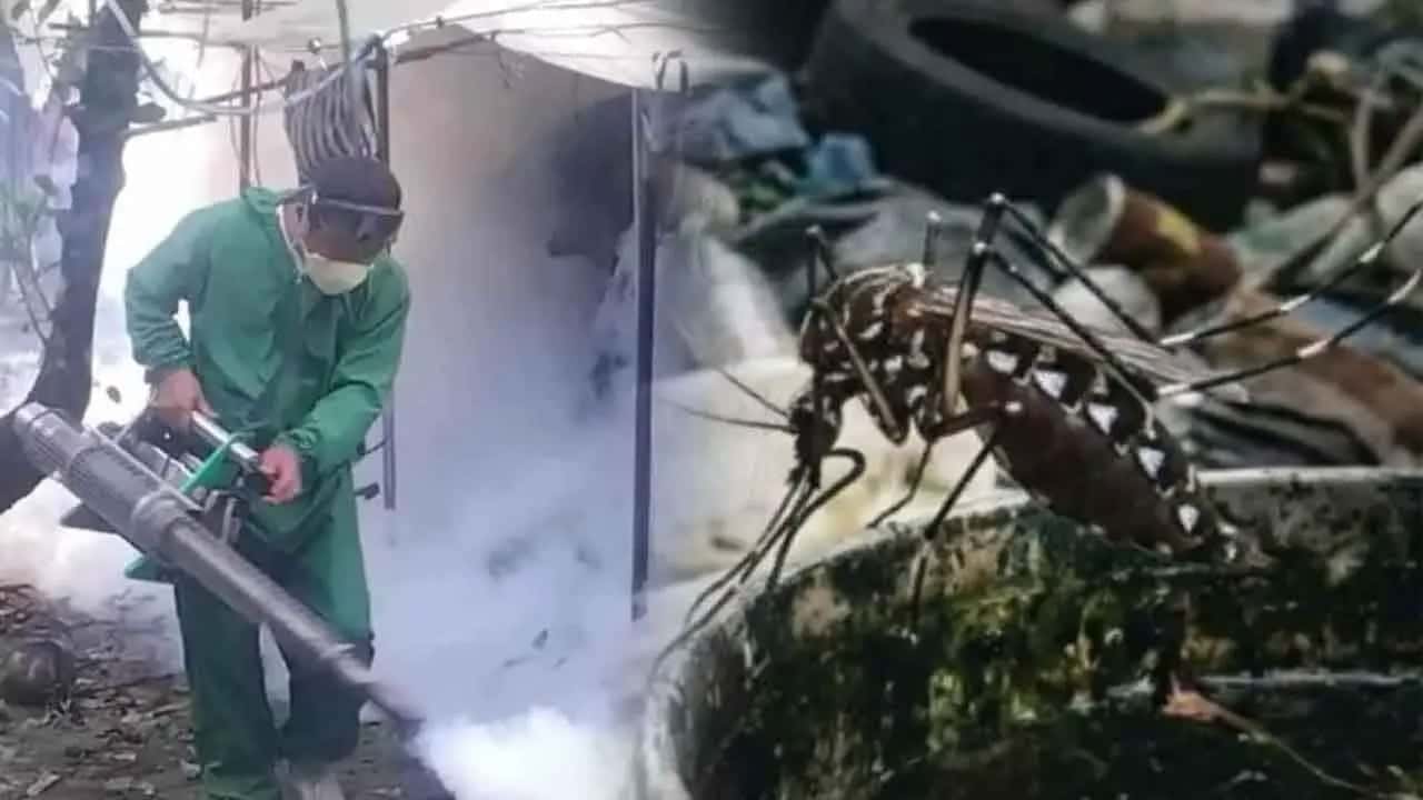 Over 104,000 dengue cases confirmed so far this year