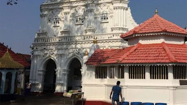 Tourist guide killed in elephant attack at Aluthgama Kande Viharaya