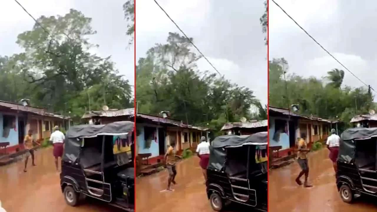 Large tree falls on estate houses in Kalutara, displacing five families