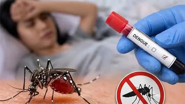 Sri Lanka’s dengue death toll rises to 81; public cautioned amid rainy weather