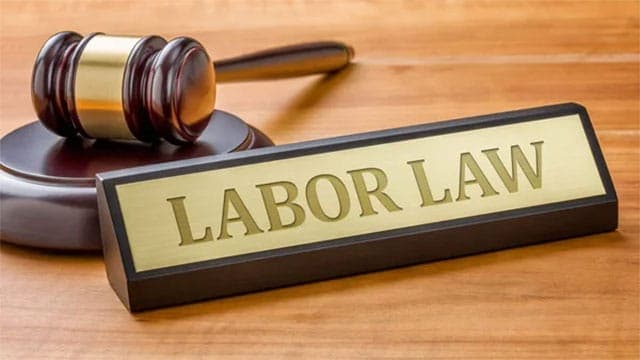 Govt. to amend outdated labour laws to meet modern needs: Dy Minister